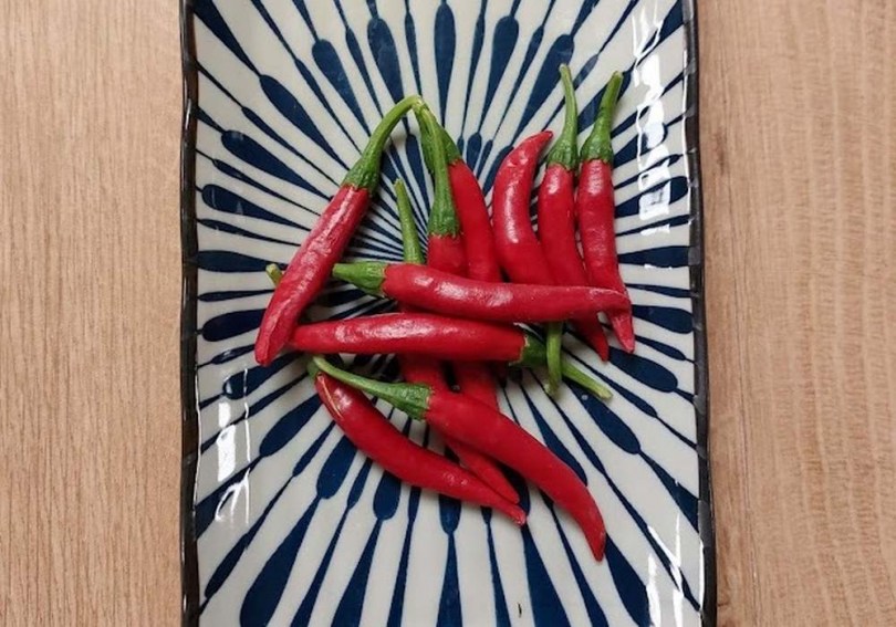 Koreai Sötétzöld chili - Csípős paprika ritkaságok az Egzotikus Növények Stúdiója kínálatában